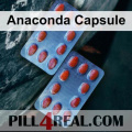 Anaconda Capsule 108