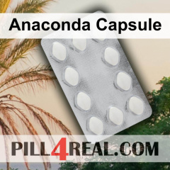 Anaconda Capsule 240