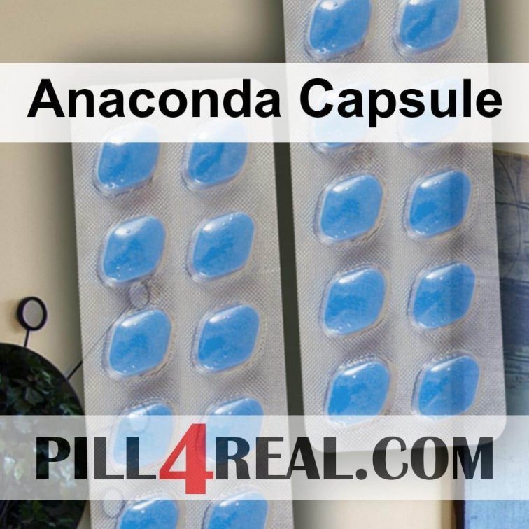 Anaconda Capsule 292
