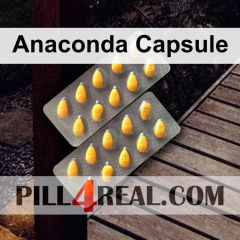 Anaconda Capsule 317