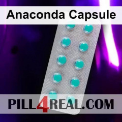 Anaconda Capsule 377