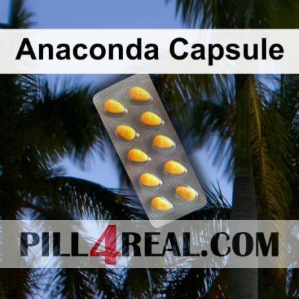 Anaconda Capsule 403