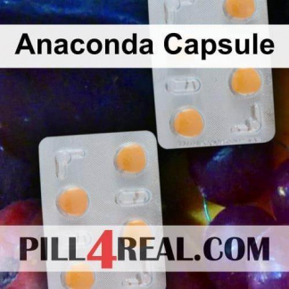 Anaconda Capsule 408