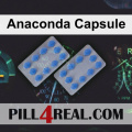 Anaconda Capsule 426