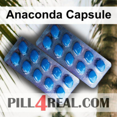 Anaconda Capsule 452