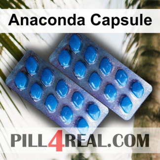 Anaconda Capsule 452