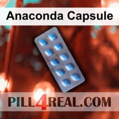 Anaconda Capsule 464