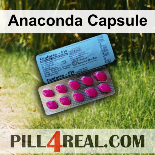 Anaconda Capsule 541