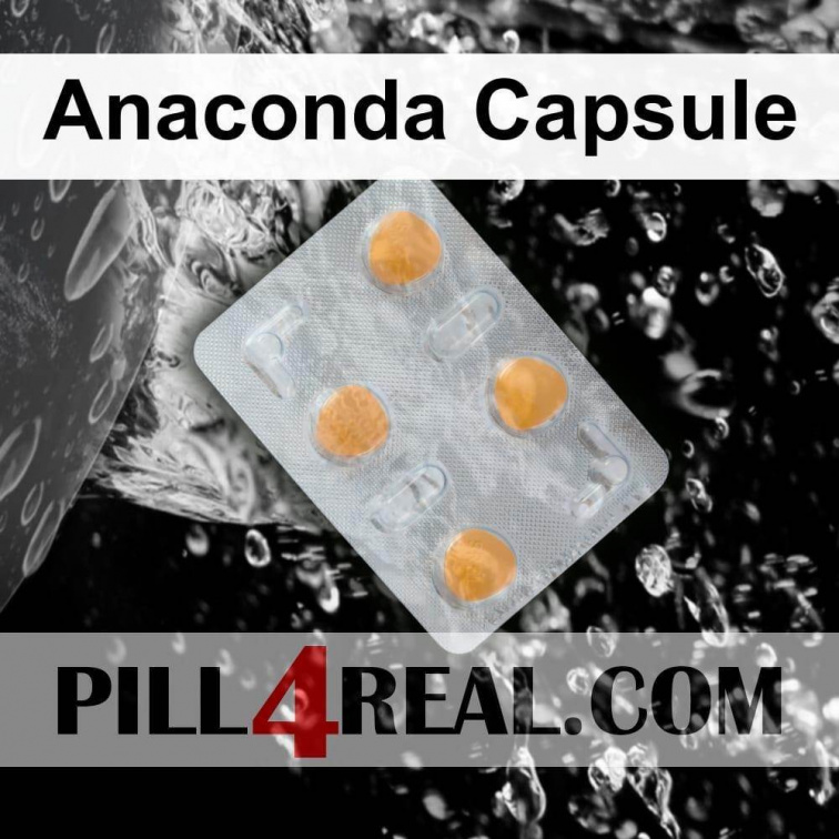 Anaconda Capsule 713