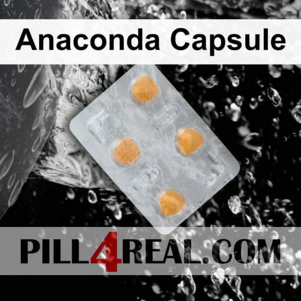 Anaconda Capsule 713
