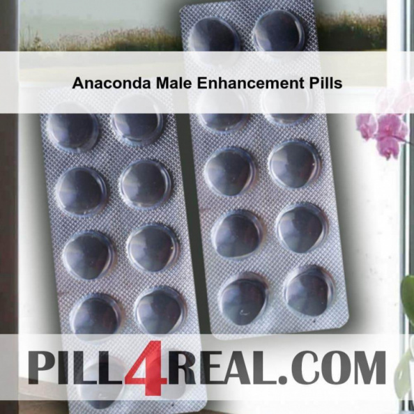 Anaconda Male Enhancement Pills 392