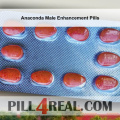 Anaconda Male Enhancement Pills 466