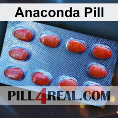 Anaconda Pill 306
