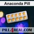 Anaconda Pill 444
