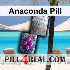 Anaconda Pill 538