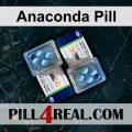 Anaconda Pill 613