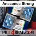 Anaconda Strong 027