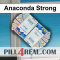 Anaconda Strong 034