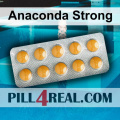 Anaconda Strong 160