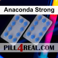 Anaconda Strong 208