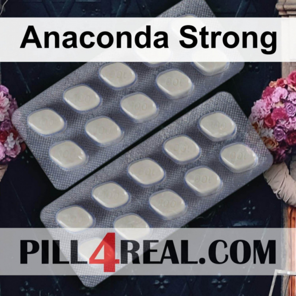 Anaconda Strong 413