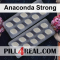 Anaconda Strong 413