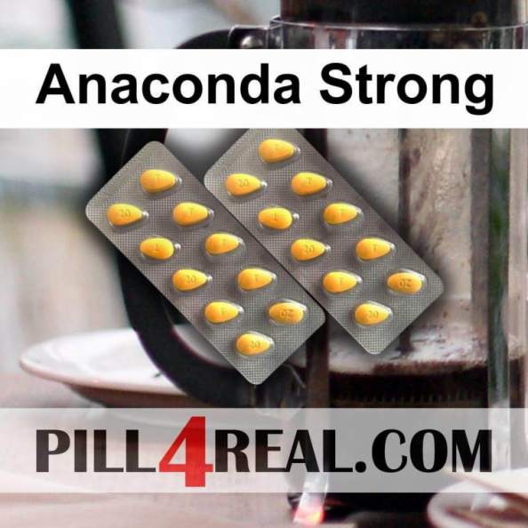 Anaconda Strong 427