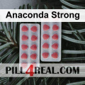 Anaconda Strong 518
