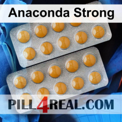 Anaconda Strong 563