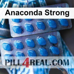 Anaconda Strong 677