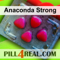 Anaconda Strong 678