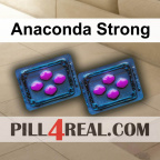 Anaconda Strong 764