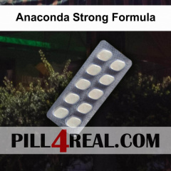 Anaconda Strong Formula 312
