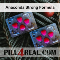 Anaconda Strong Formula 610