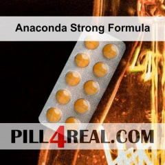 Anaconda Strong Formula 700