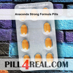 Anaconda Strong Formula Pills 101