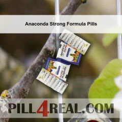 Anaconda Strong Formula Pills 279