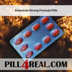 Anaconda Strong Formula Pills 433