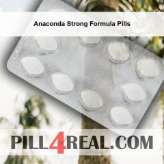 Anaconda Strong Formula Pills 526
