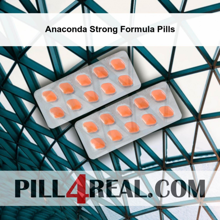 Anaconda Strong Formula Pills 860