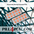 Anaconda Strong Formula Pills 860