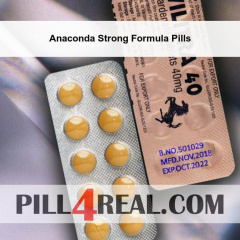 Anaconda Strong Formula Pills 906