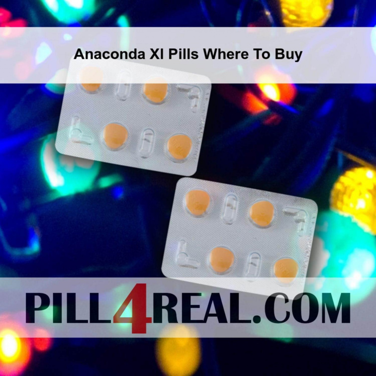 Anaconda Xl Pills Where To Buy 078