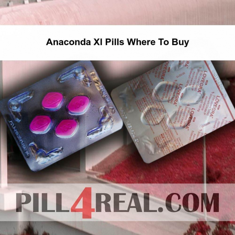 Anaconda Xl Pills Where To Buy 531