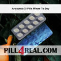 Anaconda Xl Pills Where To Buy 539