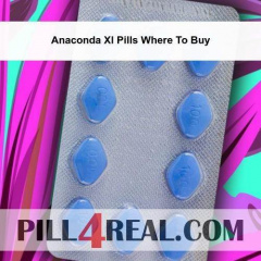 Anaconda Xl Pills Where To Buy 554