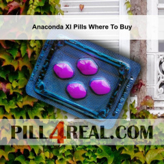 Anaconda Xl Pills Where To Buy 568