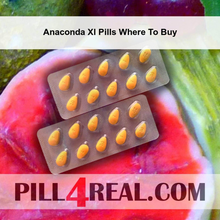 Anaconda Xl Pills Where To Buy 649