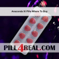 Anaconda Xl Pills Where To Buy 679