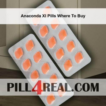 Anaconda Xl Pills Where To Buy 693
